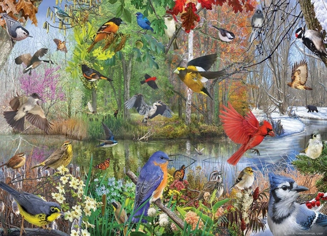 Puzzel Cobble Hill vogels in de seizoenen 1000 stukjes