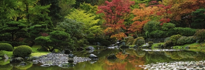 Puzzel 1000 stukjes – Zen-reflectie panorama