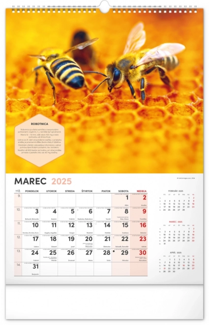 NOTIQUE Muur Bijenteelt Kalender 2025, 33 x 46 cm