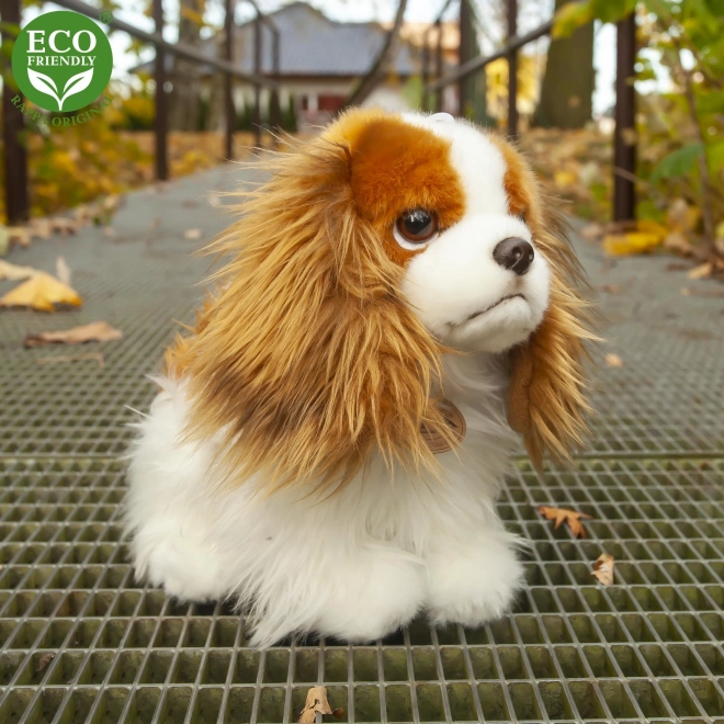 Pluchen hond King Charles spaniël 25 cm ECO-VRIENDELIJK
