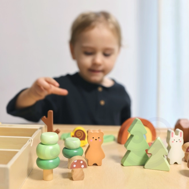 Bosset met houten blokken Tooky Toy