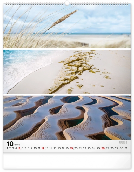 NOTIQUE Muurkalender Palet 2025, 48 x 56 cm