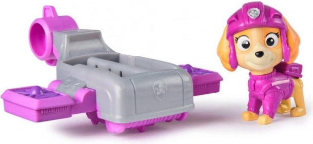 PAW Patrol Skye met reddingshovercraft