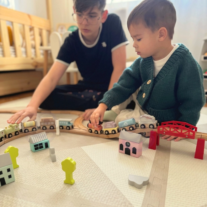 Tooky Toy houten magnetische treinwagons
