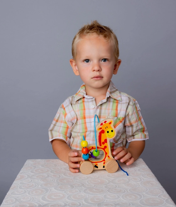 Bino Doolhof met kralen Giraffe