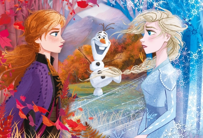Puzzel 60 Maxi Super Kleuren Frozen 2