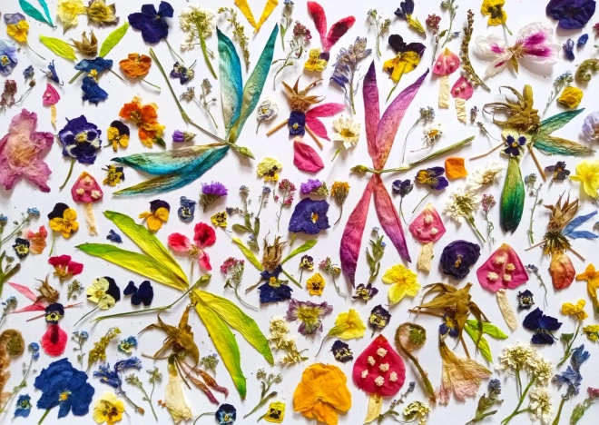 Puzzel Feeën en Libellen 1000 stuks