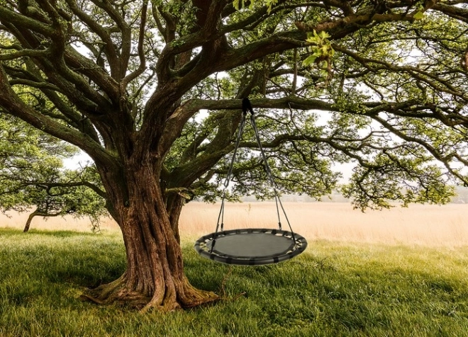 Schommel vogelnest 100 cm zwart