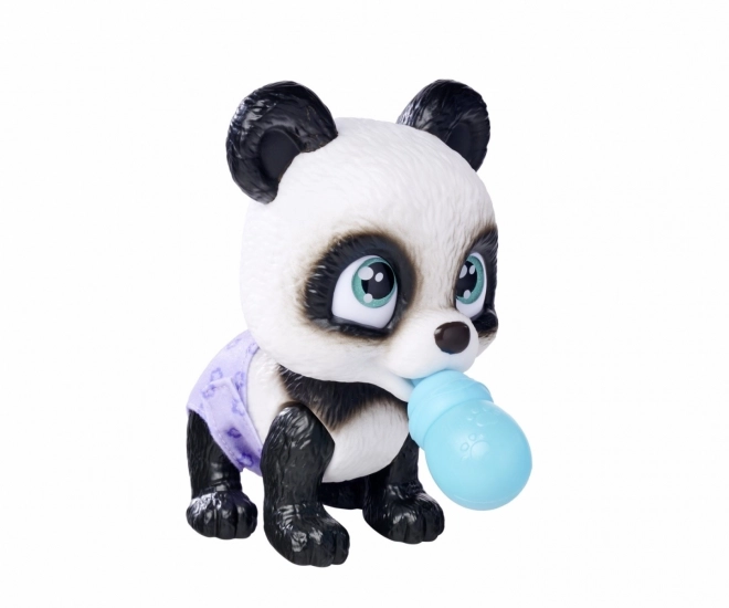Panda Verwen Huisdieren