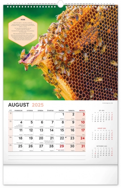 NOTIQUE Muur Bijenteelt Kalender 2025, 33 x 46 cm