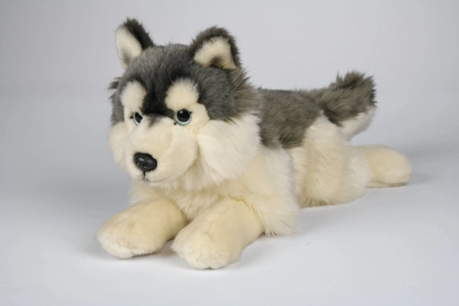Pluche husky