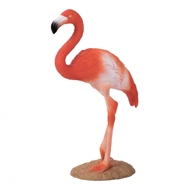 Mojo Amerikaanse Flamingo