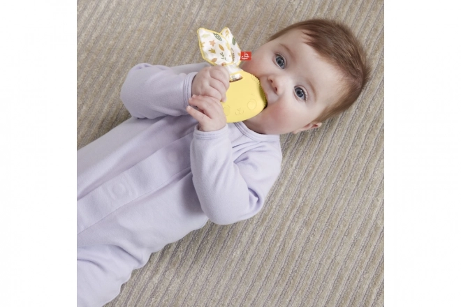 Fisher-Price sensorisch speelgoed voor baby's
