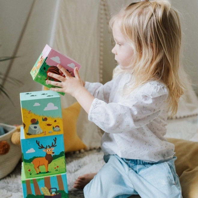 Primo Educatieve Blokken Bos