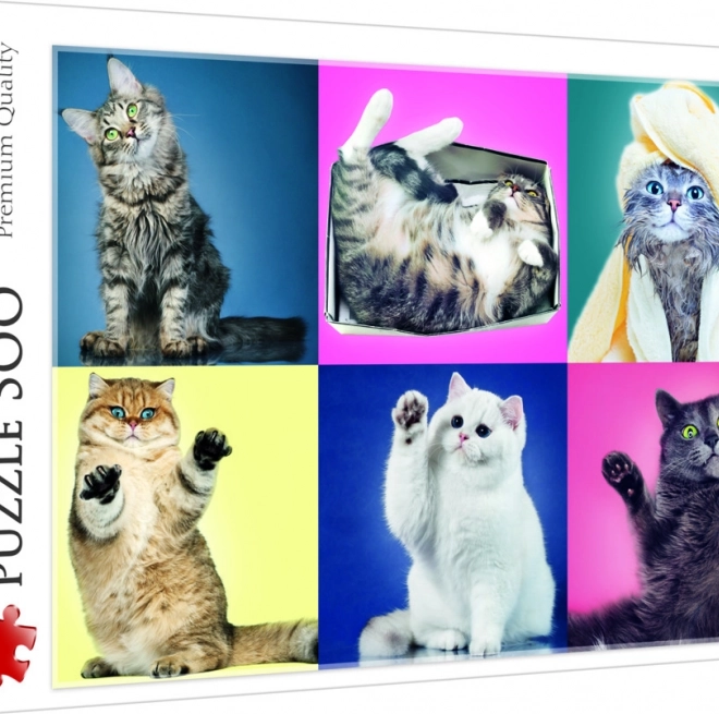 Puzzel 500 stukjes Kittens Trefl