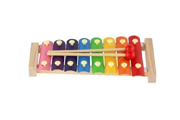 Xylofoon hout/metaal 24cm met stokken in doos 25x13x4cm