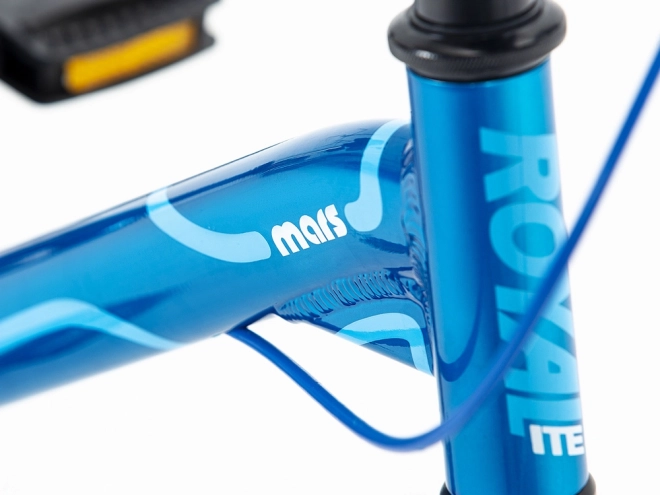 Licht aluminium frame en voorvork