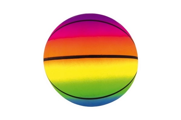Opblaasbare rubberen basketbal 20cm met net