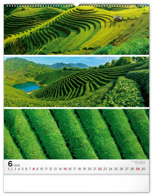 NOTIQUE Muurkalender Palet 2025, 48 x 56 cm