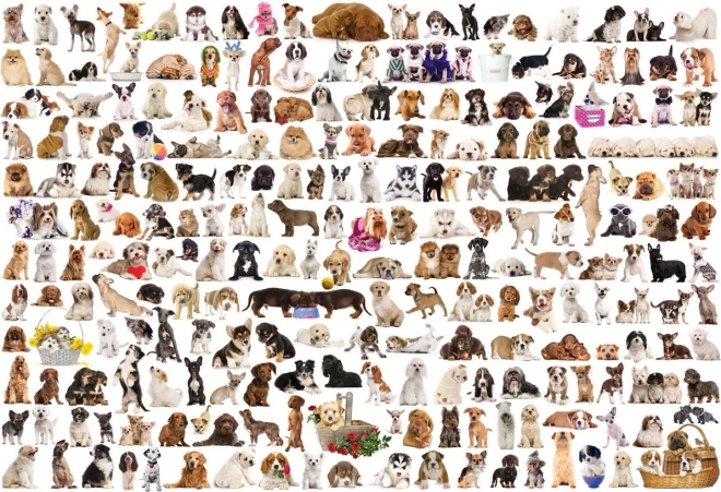 EUROGRAPHICS puzzel Wereld van honden 2000 stukjes