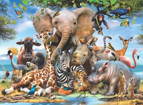 Puzzle ANATOLIAN – Afrikaanse glimlach, 1000 stukjes