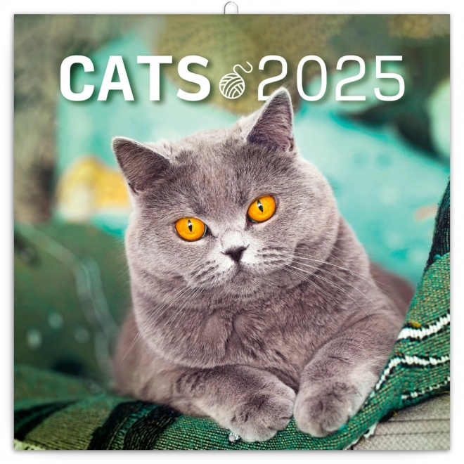 Notitiekalender Katten 2025, 30 × 30 cm