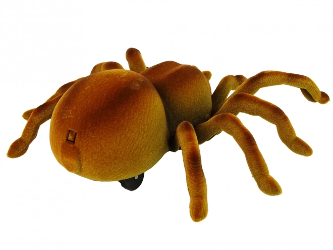 Op afstand bestuurbare tarantula spin Infrarood Bruin R/C
