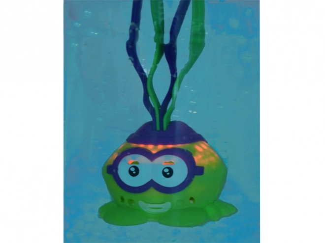 Leuke lichtgevende krab voor duikles