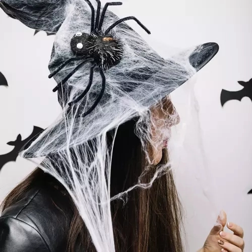 Halloween kunstmatige spinnenweb met spinnen