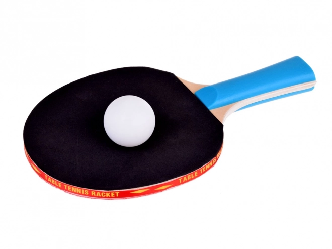 Houten tafeltennisbatjes met balletjes