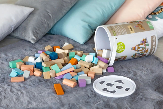 Houten blokken 100 st met emmer inclusief sorteerder Ecotoys