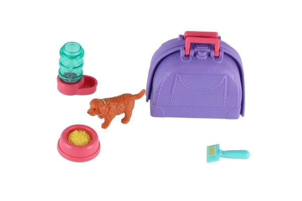 Mazlíček hond met draagbare doos en accessoires
