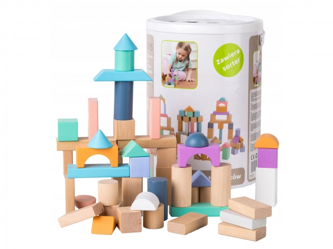 Houten blokken 100 st met emmer inclusief sorteerder Ecotoys