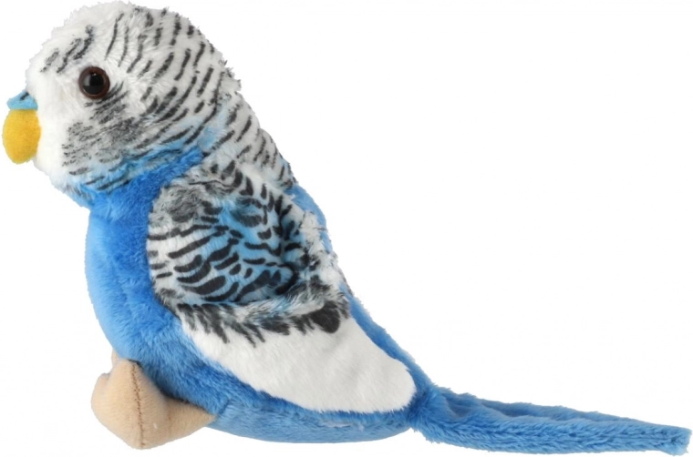 Realistische details van verenkleed en uiterlijk