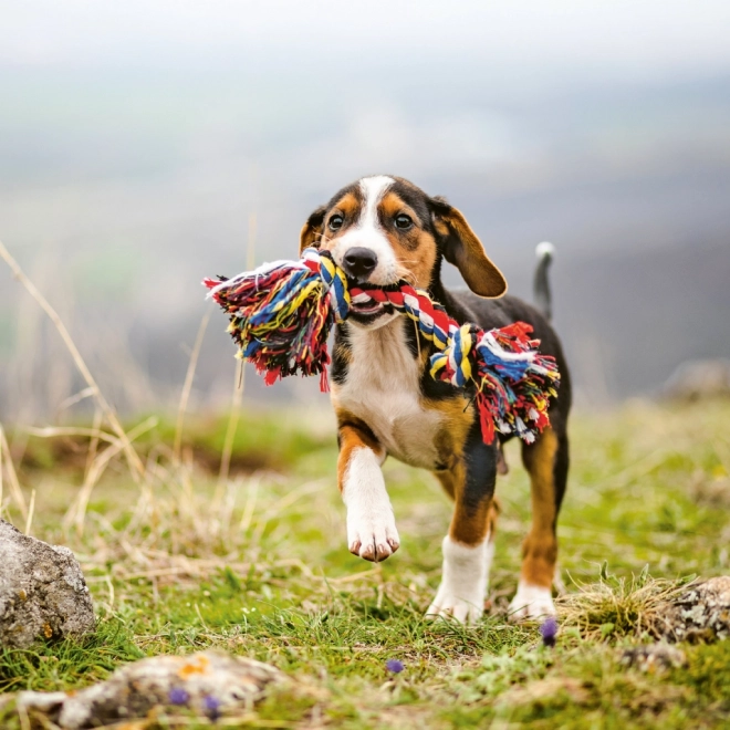 Notitie Kalender Puppy’s 2024