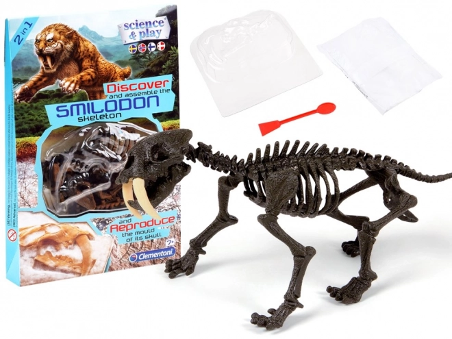 Clementoni Smilodon - Opvouwbaar skelet van een sabeltandtijger