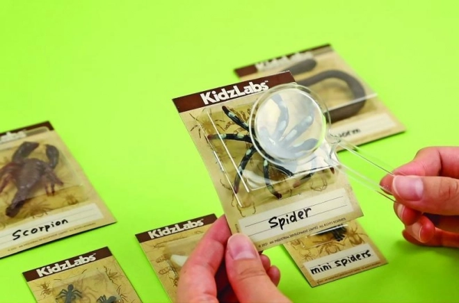 educatieve opgravingsset – insectjes