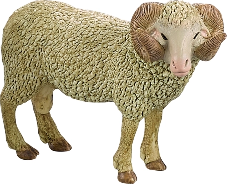 Gedetailleerde ram