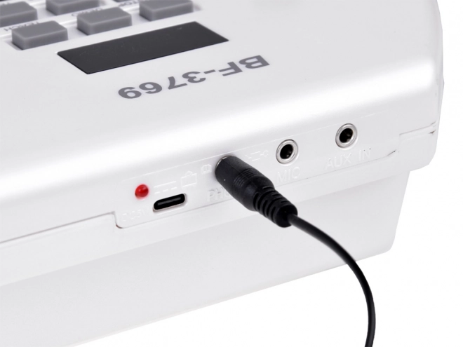 Elektrische piano + microfoon Speelgoed Instrument voor kinderen IN0173