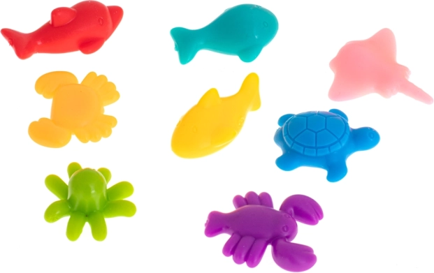 Kennismaken met zeedieren