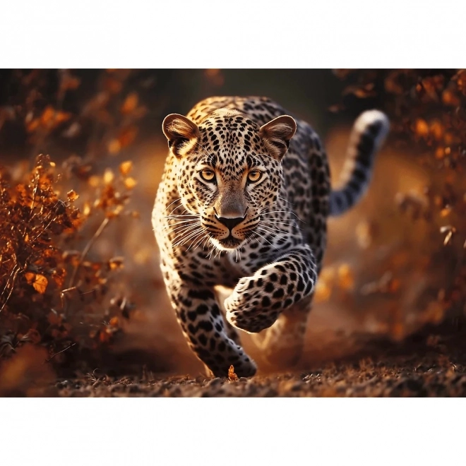 TREFL Puzzel Premium Plus Photo Odyssey: Wilde luipaard 1000 stukjes