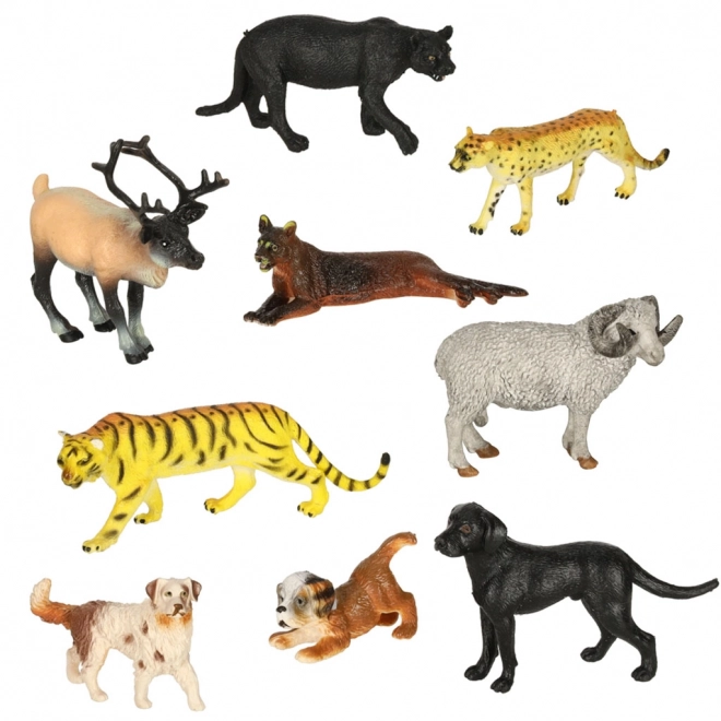 Dierenfiguren van de Zoo - 31 stuks