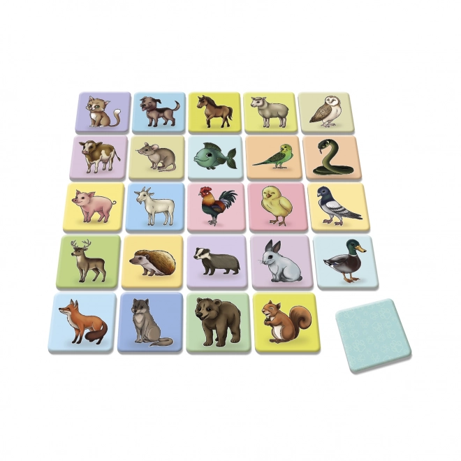 Dieren Pexeso