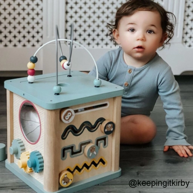 Bigjigs Baby Motorische Activiteitskubus