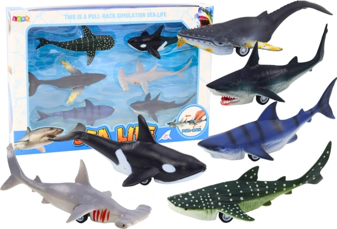 Speelfiguren Voertuigen Zeedieren Frictie-aandrijving Orka Haai 6 stuks