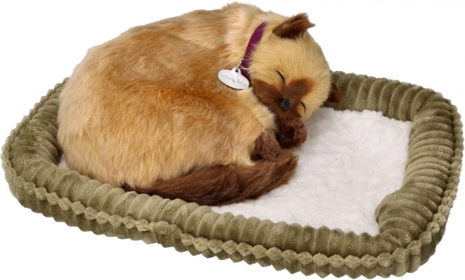 Ademend Siamees kitten – realistische pluchen kat op een kussentje