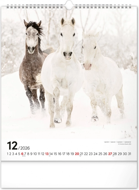 Wandkalender Paarden 2026