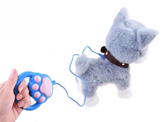 Interactieve husky hond aan een riem