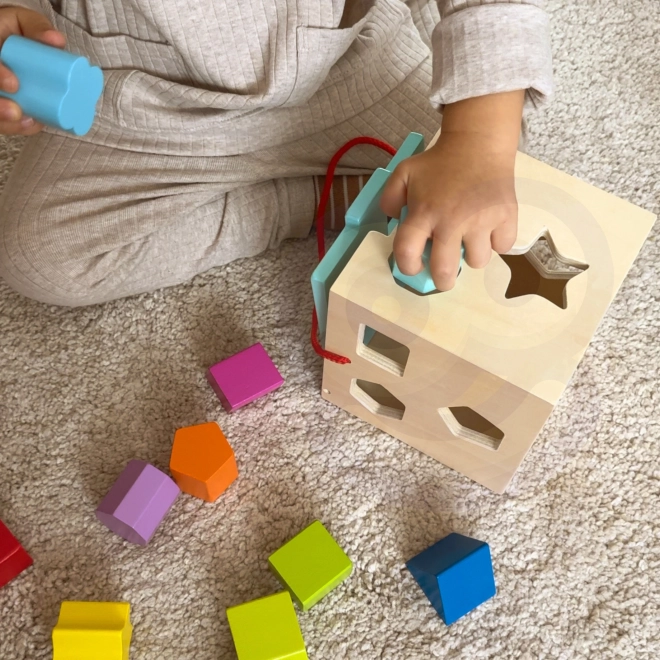 Houten blok met vormen TOOKY TOY