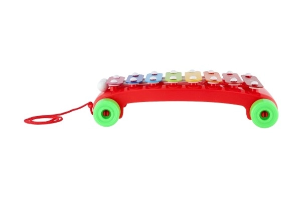 Xylofoon kunststof/metaal 24cm met stokken 2 kleuren in zak 19x31x6cm